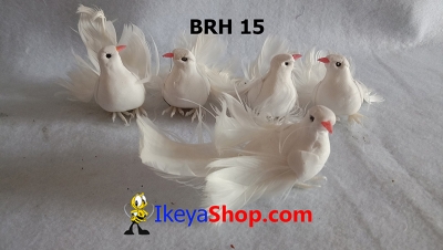 BRH 15 a  large2